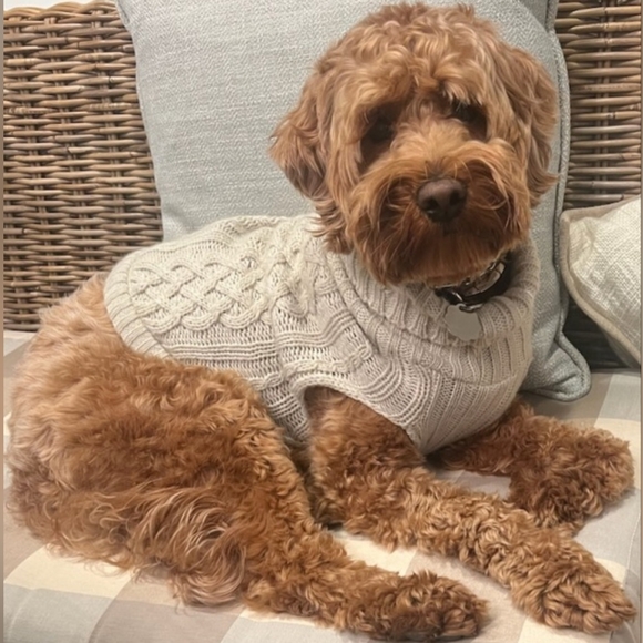 Like this listing to be notified when I go LIVE - Picture 6 of 11